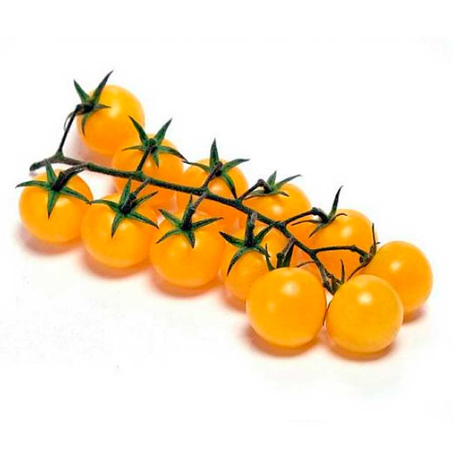 ciliegino giallo