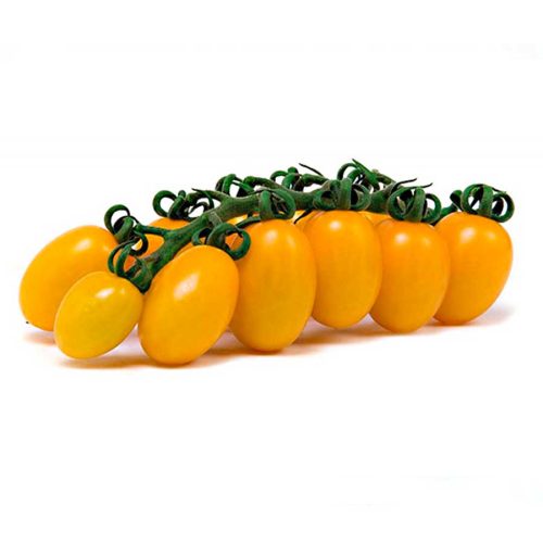 DATTERINO GIALLO