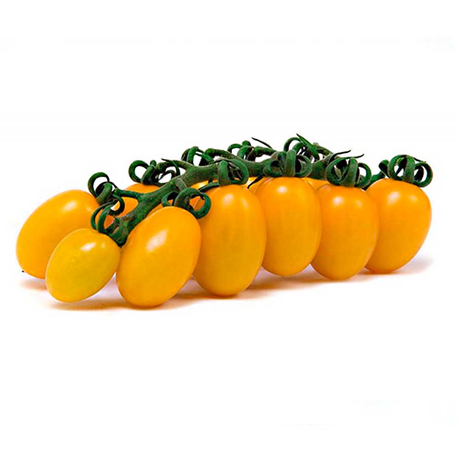 DATTERINO GIALLO
