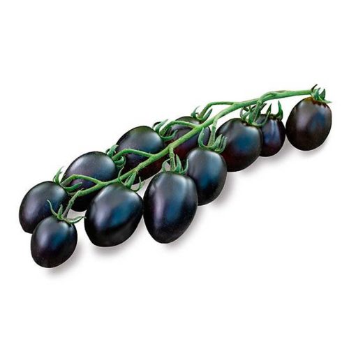 datterino nero