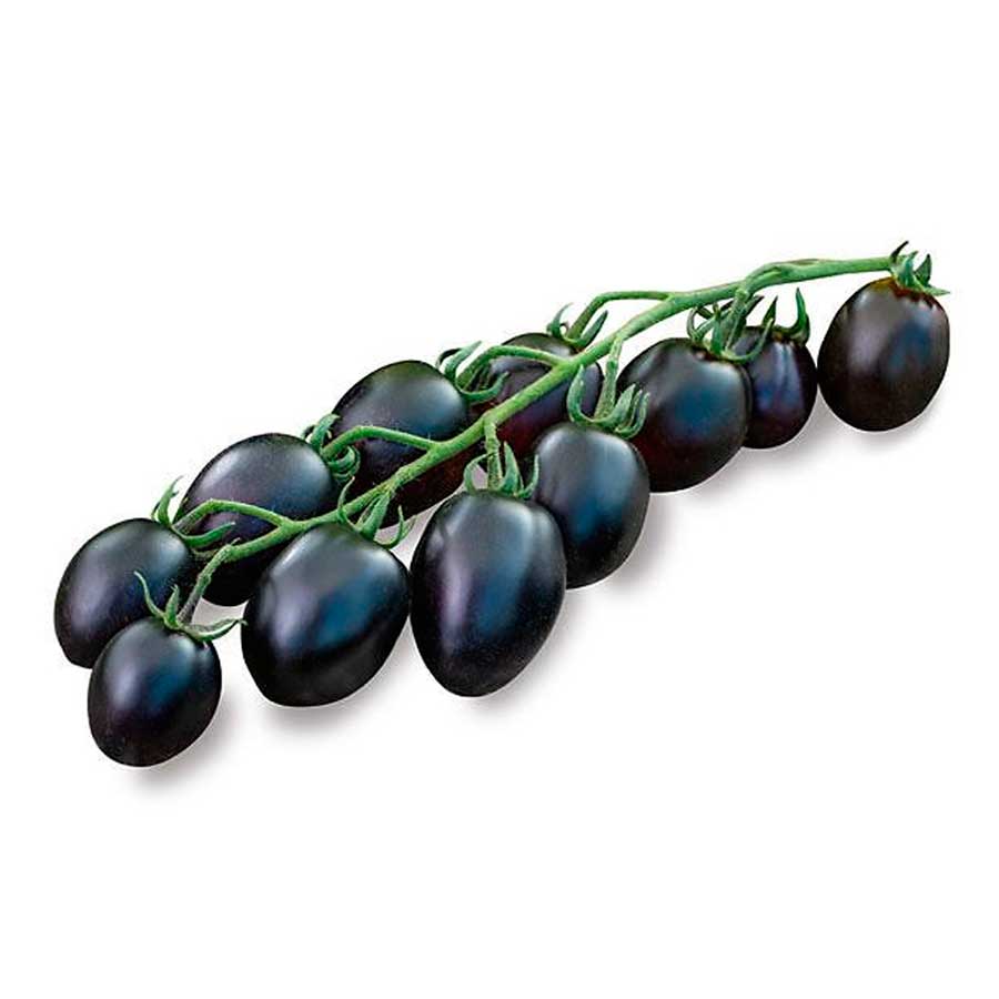 datterino nero
